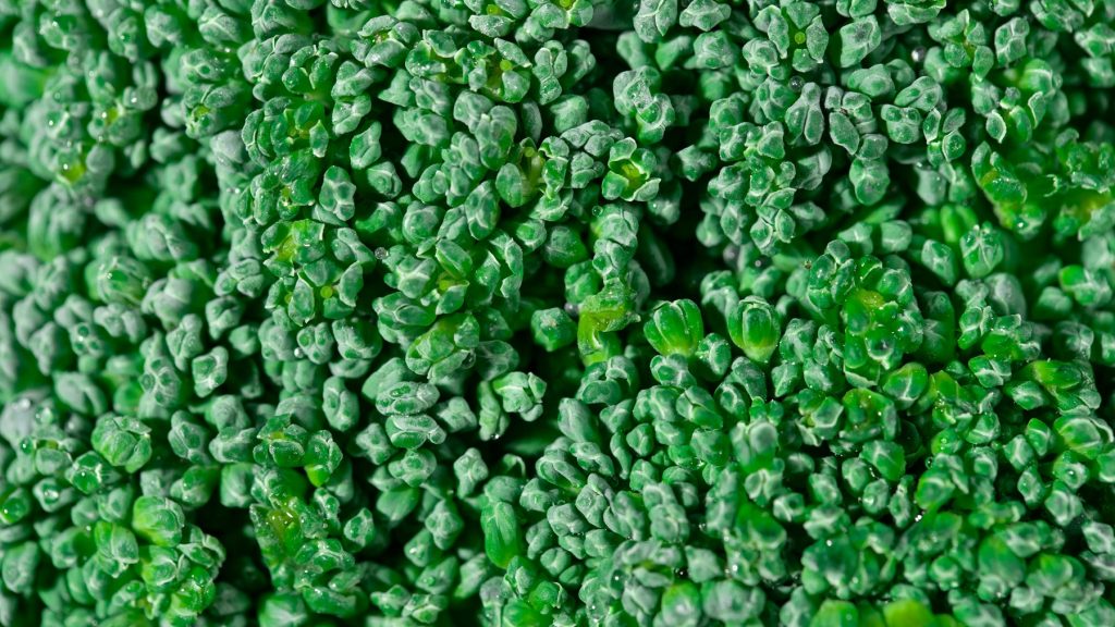 Broccoliblade kan faktisk spises – og de er overraskende sunde